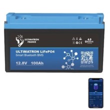  LiFePO4-Batterie 12,8V/100Ah