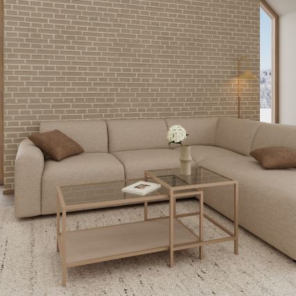 2er-Set Couchtisch SARON 90x50 cm grau/transparent