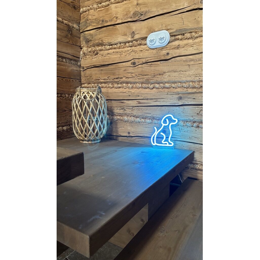 2Kids Toys - LED Neon Tischdekoration LED/5W/USB Hund