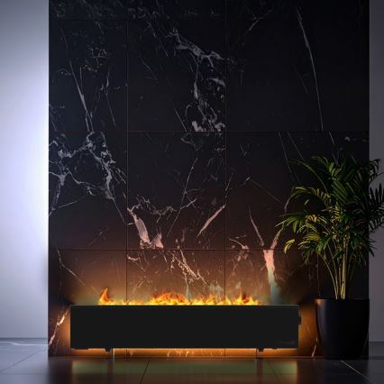 AENO - Intelligenter elektrischer Direktheizkörper/Konvektor 1000/2000 W schwarz