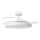 Aigostar - Dimmbare LED-Deckenleuchte mit Ventilator MESH LED/50W/230V 2700-6500K schwarz + Fernbedienung