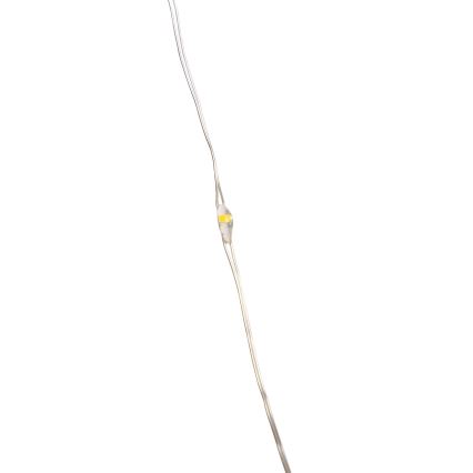 Aigostar -LED Außen-Lichterkette 100xLED/8 Funktionen 3xAA 10,3m IP44 Warmweiß