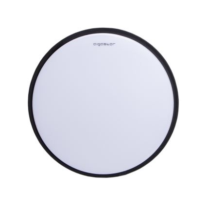 Aigostar - LED-Deckenleuchte LED/12W/230V 3000K d. 23 cm schwarz