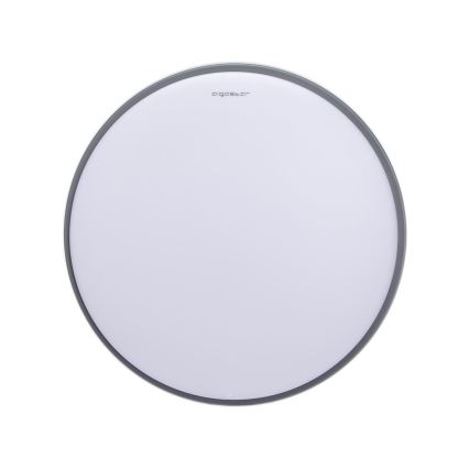 Aigostar - LED-Deckenleuchte LED/20W/230V 3000K d. 30 cm grau