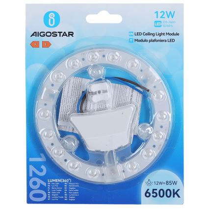 Aigostar - LED-Magnetmodul LED/12W/230V 6500K