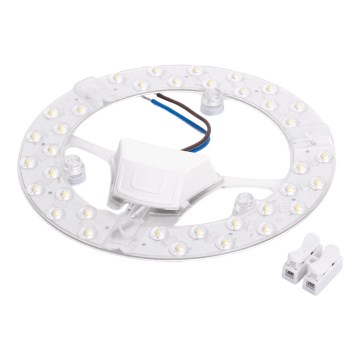 Aigostar - LED-Magnetmodul LED/24W/230V 6500K