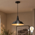Aigostar - LED-Pendelleuchte an Stahlseil 1xE27/60W/230V Ø 36 cm schwarz