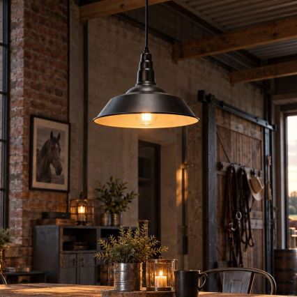 Aigostar - LED-Pendelleuchte an Stahlseil 1xE27/60W/230V Ø 36 cm schwarz