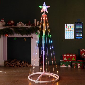 Aigostar - LED RGBICW Außen-Weihnachtsdekoration 165xLED/230V 1,8m IP44 + Fernbedienung