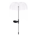 Aigostar - LED Solar-Dekorationslampe LED/0,03W/1,2V 70cm 300 mAh 6500K IP44