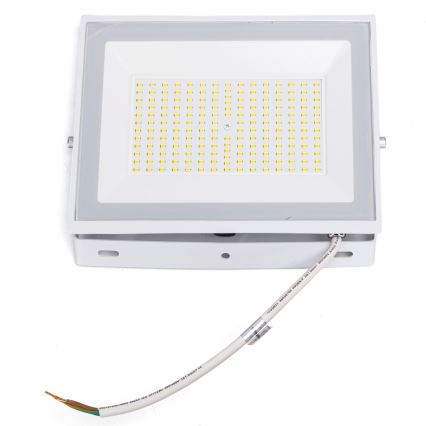 Aigostar - LED-Strahler LED/100W/230V 6500K IP65