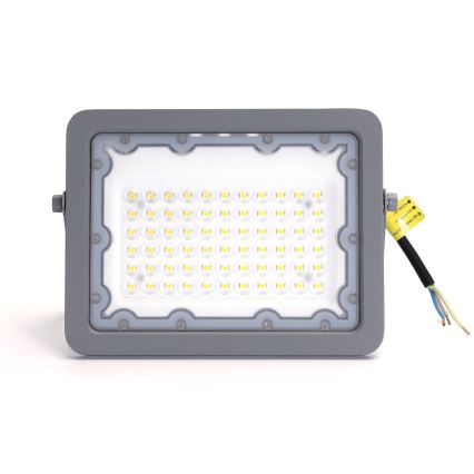 Aigostar - LED-Strahler LED/50W/230V grau 4000K IP65
