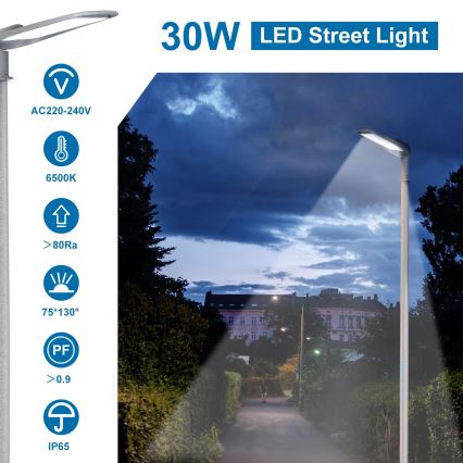 Aigostar - LED-Straßenleuchte LED/30W/230V 6500K IP65