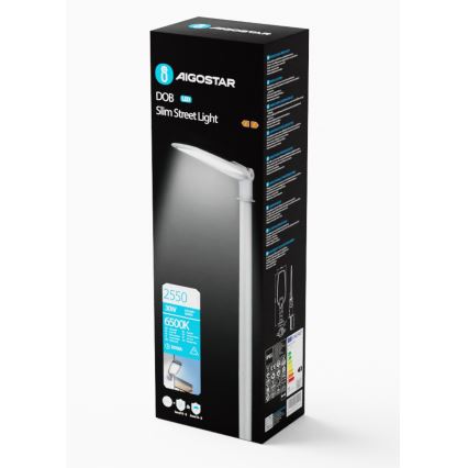 Aigostar - LED-Straßenleuchte LED/30W/230V 6500K IP65