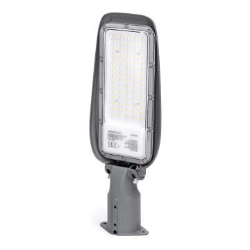 Aigostar - LED-Straßenleuchte LED/50W/230V 6500K IP65