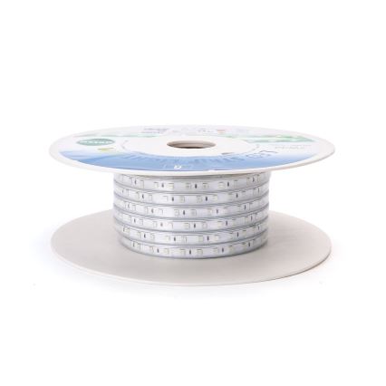 Aigostar - LED-Streifen LED/350W/230V 50m grün IP65