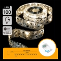 Aigostar - LED-Weihnachtslichterkette 100xLED/3xAA 10 m warmweiß silber