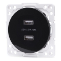 Aigostar - rahmenlose USB-Steckdose, 2x USB-A, schwarz