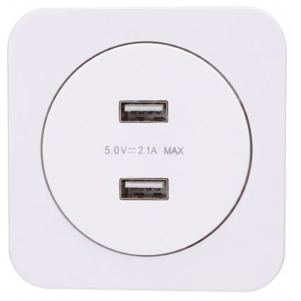 Aigostar - USB-Lade-Steckdose mit Rahmen, 2x USB-A, weiß