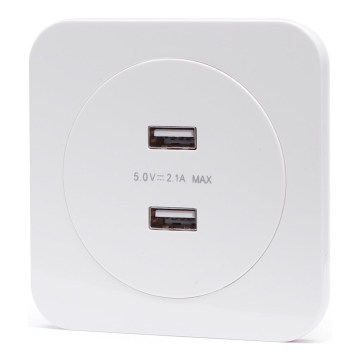 Aigostar - USB-Netzsteckdose mit Rahmen, 2x USB-A, weiß