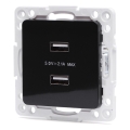 Aigostar - USB-Steckdose ohne Rahmen 2x USB-A schwarz