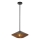 Alora Mood - Deckenleuchte an Stange DAPHNE 1xE27/60W/230V d 38,1 cm schwarz