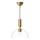 Alora Mood - Deckenleuchte an Stange JUDE 1xE27/60W/230V d 30,5 cm Messing