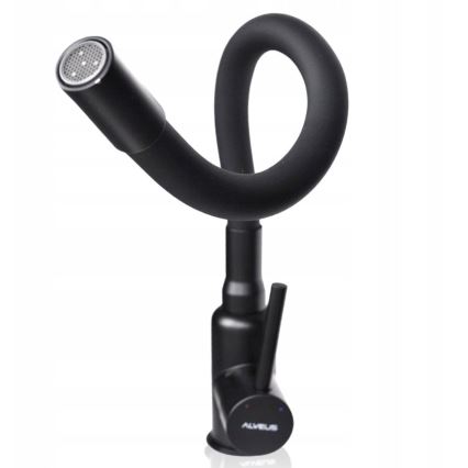 ALVEUS 1144433 - Wasserhahn/Armatur mit flexiblem Arm MINTAS 34 cm Messing/matt schwarz