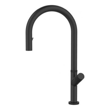 ALVEUS 1150908 - Wasserhahn/Armatur mit ausziehbarer Sprühvorrichtung SWAN 44,9 cm schwarz