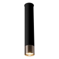 Amplex - Einflammiger Spot, 1x GU10, 10 W, 230 V, Schwarz/Gold