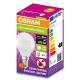Antibakterielle LED-Glühbirne P40 E14/4,9W/230V 4000K - Osram