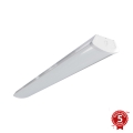 APLED - LED-Aufbauleuchte TROUT LED/72W/230V 4000K