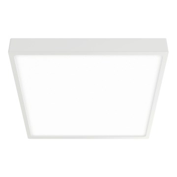 APLED - LED-Deckenleuchte für das Badezimmer SQUARE LED/16W/230V IP54 220x220 mm