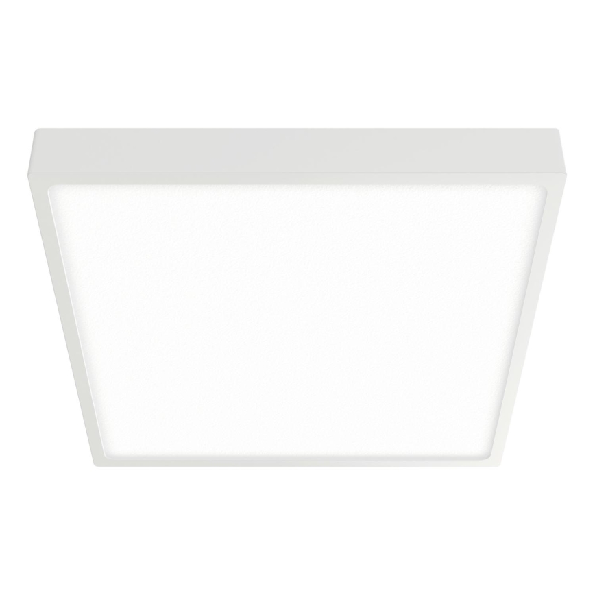 APLED - LED-Deckenleuchte für das Badezimmer SQUARE LED/16W/230V IP54 220x220 mm