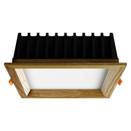 APLED - LED-Einbauleuchte SQUARE WOODLINE LED/12W/230V 3000K 17x17 cm Esche Massivholz