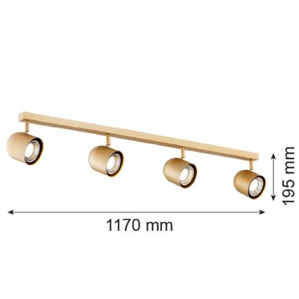 Argon 1810 - Strahler ISOLA 4xGU10/5W/230V