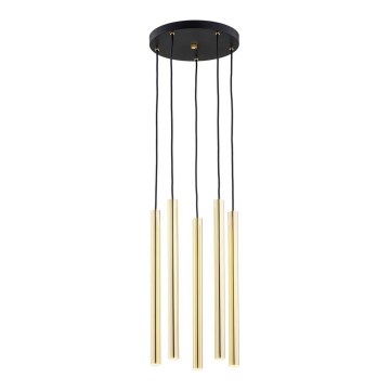 Argon 2109 - LED Hängeleuchte SICILIA 5xLED/4,5W/230V