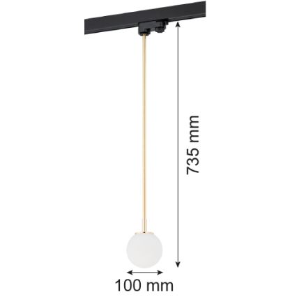 Argon 4308 - Hängeleuchte an Stange zum Schienensystem BANG 1xG9/6W/230V Messing