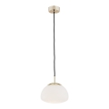 Argon 4352 - Hängeleuchte an Kabel TRINI 1xE27/15W/230V Ø 20 cm goldfarben