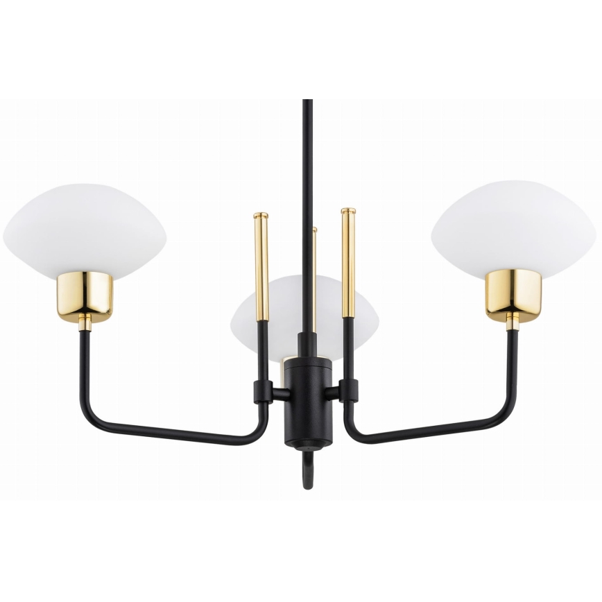 Argon 6166 - Deckenleuchte an Stange RAVELLO 3xE14/15W/230V schwarz/gold