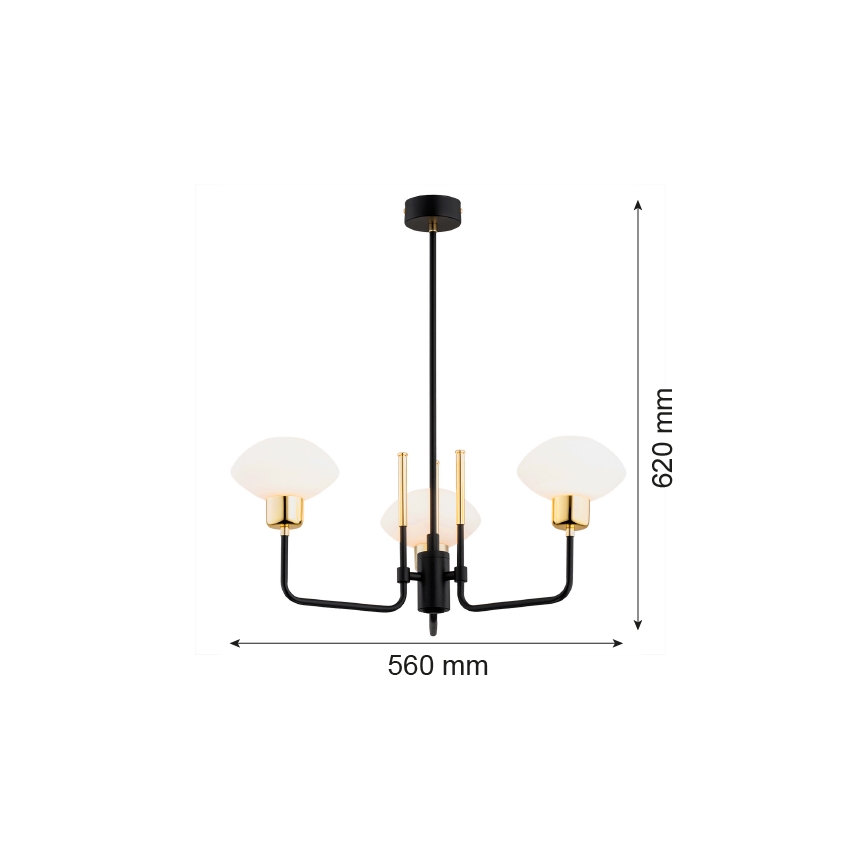 Argon 6166 - Deckenleuchte an Stange RAVELLO 3xE14/15W/230V schwarz/gold