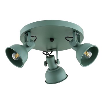 Argon 6265 - Strahler LENORA 3xE14/7W/230V grün