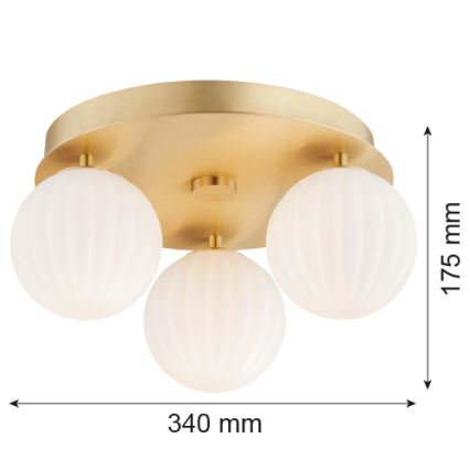 Argon 6305 - Deckenleuchte PALOMA 3xE14/7W/230V golden/weiß