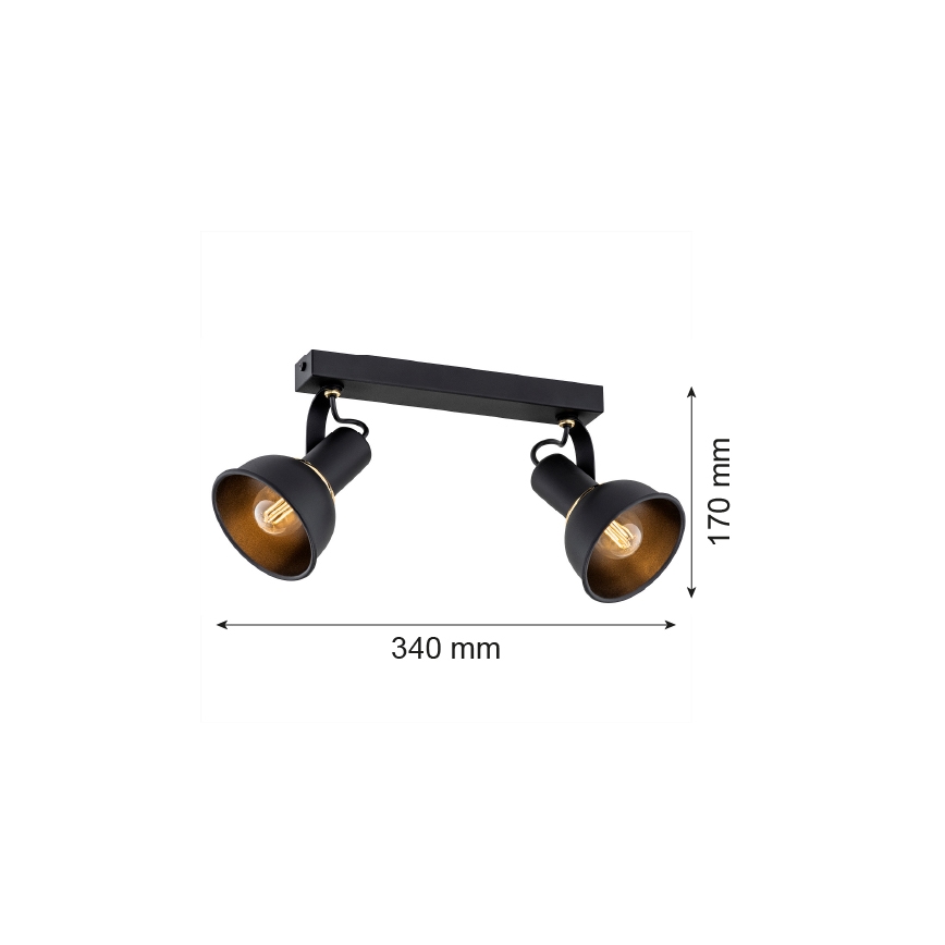 Argon 7037 - Spotlight TWIST 2xE14/7W/230V schwarz/gold