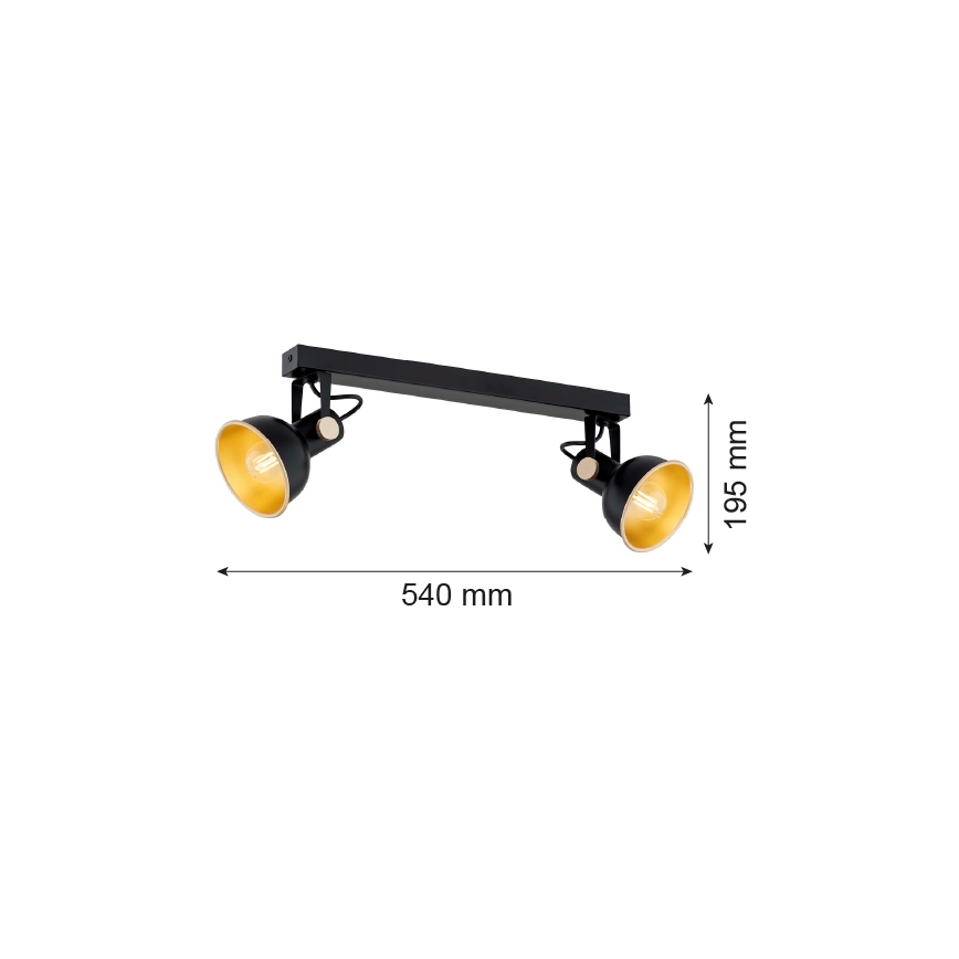 Argon 7142 - Strahler LENORA 2xE14/7W/230V schwarz