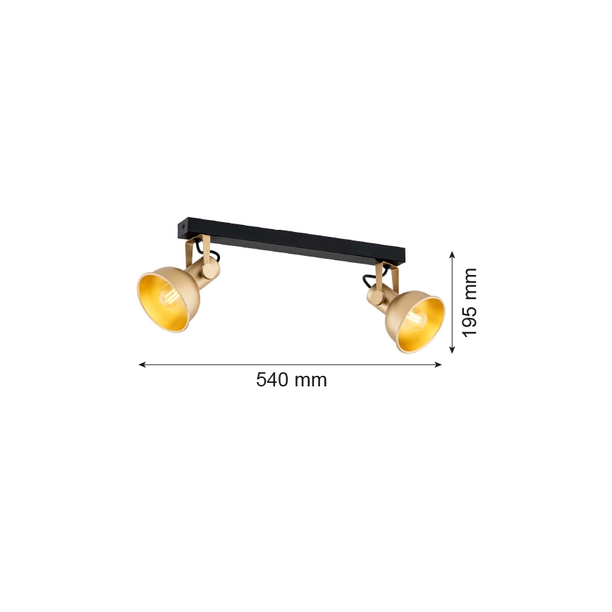 Argon 7144 - Strahler LENORA 2xE14/7W/230V golden/schwarz