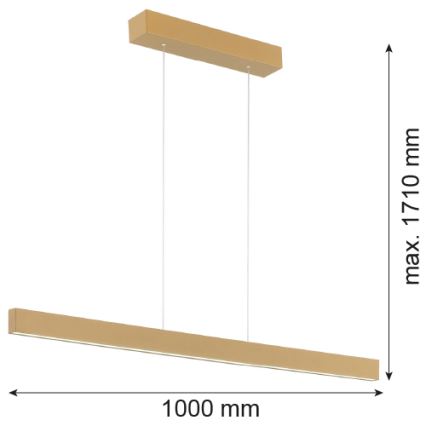 Argon 8306 - LED-Hängeleuchte an Schnur BALANS LED/35W/230V 3000K golden