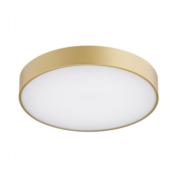 Argon 8349 - LED-Deckenleuchte TIAMO LED/22W/230V 4000K golden