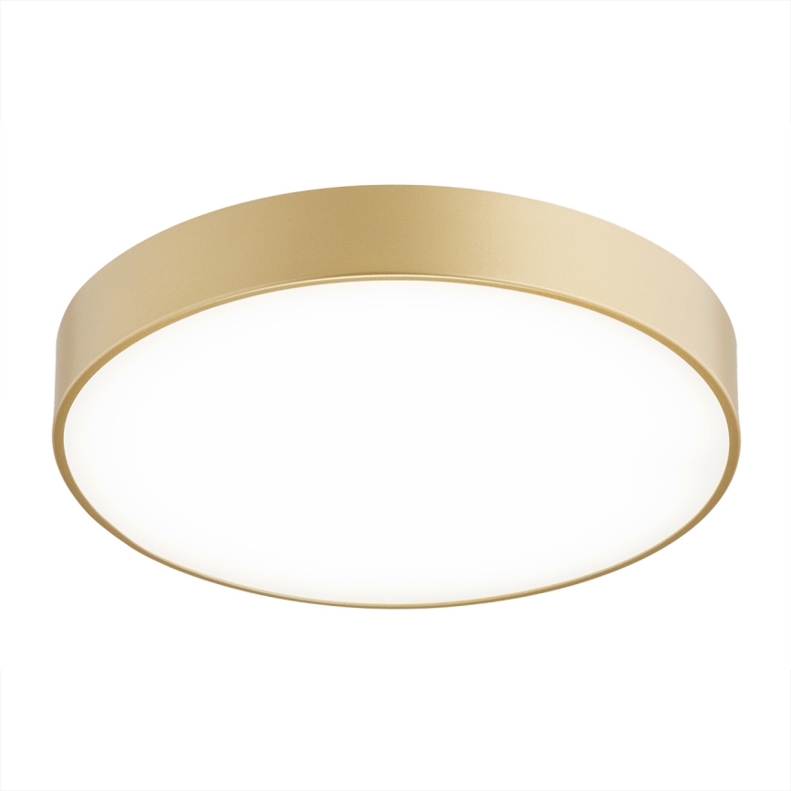 Argon 8349 - LED-Deckenleuchte TIAMO LED/22W/230V 4000K golden