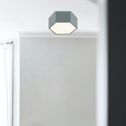 Argon 8784 - LED-Deckenleuchte LIBERO LED/12W/230V 3000K grau